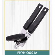 PHYH-C0091A