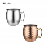 PHJ21-1